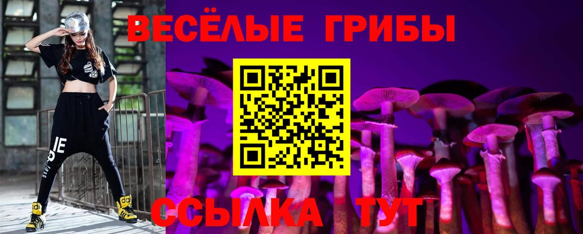 Галлюциногенные грибы GOLDEN TEACHER Химки