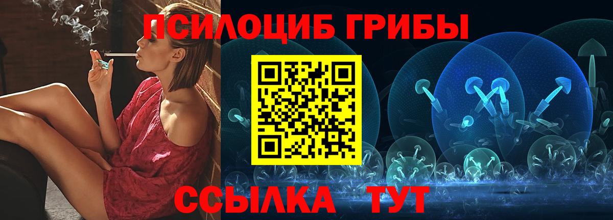 Химки  Галлюциногенные грибы мицелий  Псилоцибиновые грибы Cubensis  Вход с VPN 
